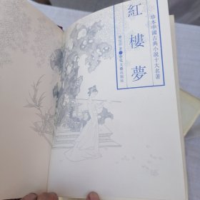 珍本中国古典小说十大名著20本