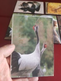 新疆珍奇明信片(全5张)