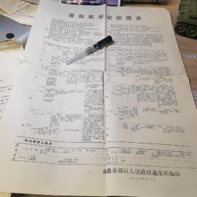 南通市郊区人民政府蔬菜科1981番茄农事安排简表。折叠处有折痕