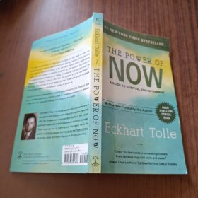 The Power of Now：A Guide to Spiritual Enlightenment