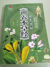 彩色图解《神农本草经》/超值全彩养生馆