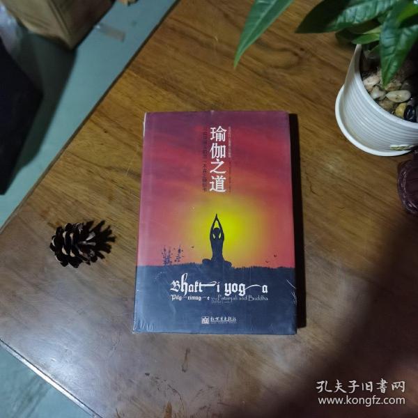 瑜伽之道：写给中国人的第一本真正瑜伽书（全新有塑封）