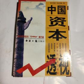 中国资本透视