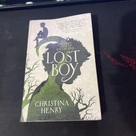 LOST BOYB CHRISTINA HENRY