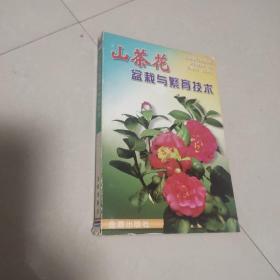 山茶花盆栽与繁育技术