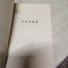 小小金蔷薇【本书是一本有关讲写作的书，借鉴巴乌斯托夫斯基《金蔷薇》写作技巧】