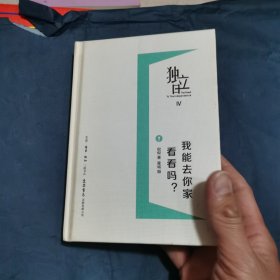 独立日4：我能去你家看看吗？