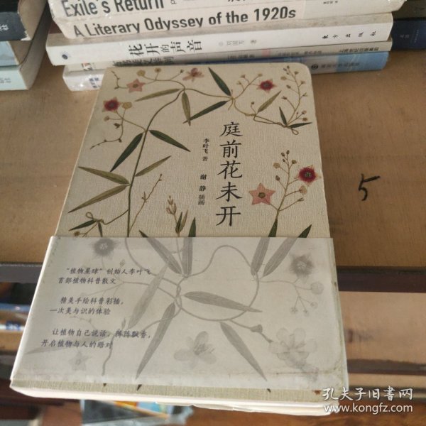 庭前花未开