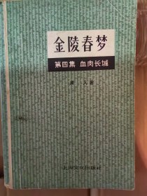 金陵春梦第四集 血肉长城