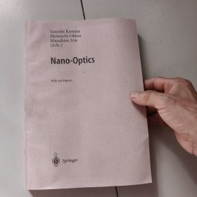 Nano-Optics