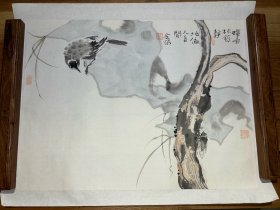 中国美术家协会会员鲍金荣花鸟册页50*39
1963年生，无锡人，中国美协会员，现供职无锡市美术馆，鲍金荣先生作画，精心布置，潜心写意，做花鸟生机活现，为人谦和，得画为无声诗之妙境。
作品入选首届全国当代花鸟画艺术大展，第五、六届全国工笔画展、2004年全国中国画作品展、首届中国写意画作品展、2005年中国金陵百家画展等，两次获优秀作品奖