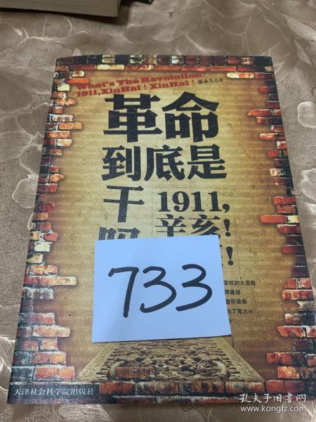 革命到底是干吗？：1911，辛亥！辛亥！