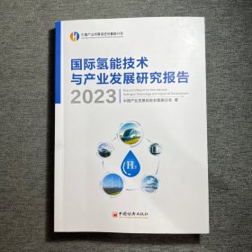 国际氢能技术与产业发展研究报告2023