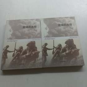 燃烧的岛群(上下)：宋宜昌二战军史小说系列