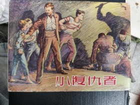 小复仇者