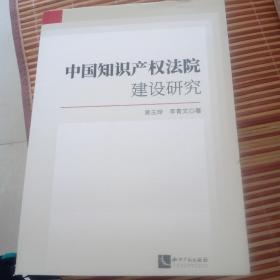中国知识产权法院建设研究(书下口裁小了不影响阅读)