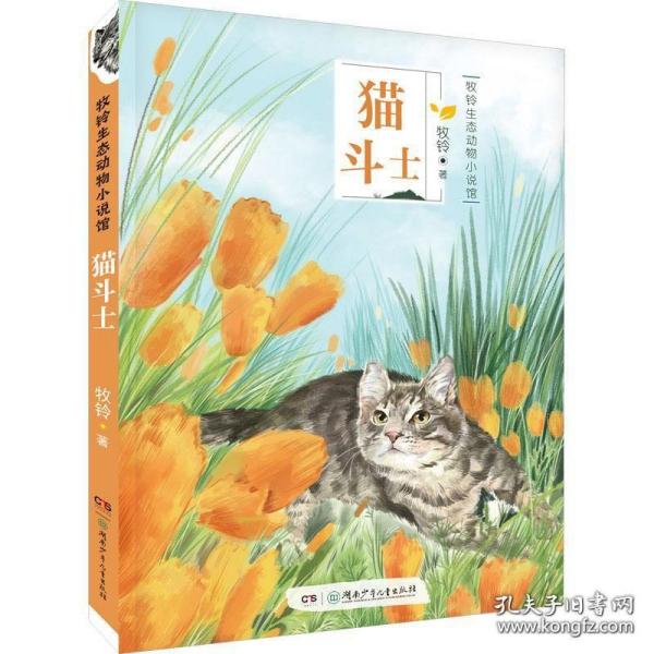 猫斗士