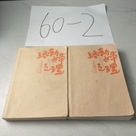 络新妇之理（上下册）