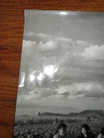 七十年代老照片:场院里的笑声(40.5厘米Х29.5厘米)