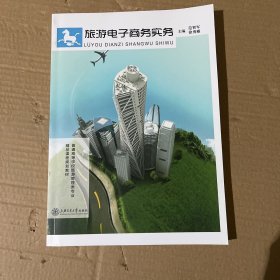 旅游电子商务实务