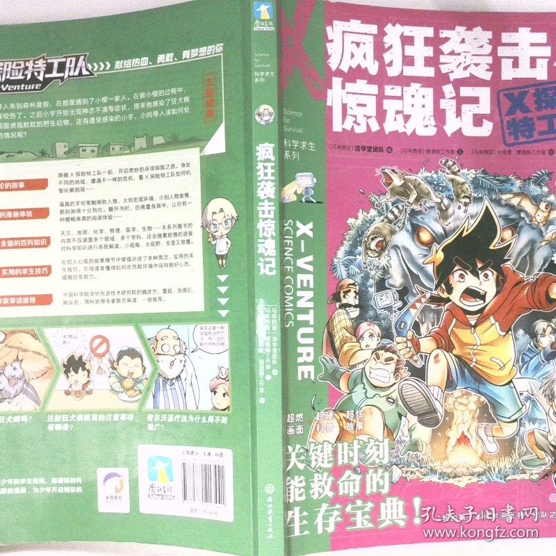 疯狂袭击惊魂记
