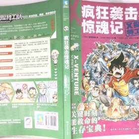 疯狂袭击惊魂记