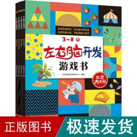 左右脑开发游戏书 （套装4册）100多幅奇趣情景，900多个场景细节，近300个玩出花样的益智游戏，开启3~8岁孩子多元化思维模式