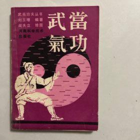 武当气功（7架）