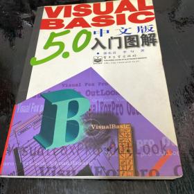 Visual Basic 5.0中文版入门图解