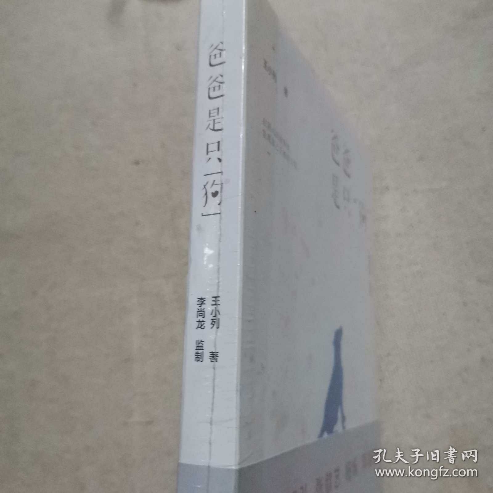 爸爸是只“狗”（作者亲笔，李尚龙监制，当代年轻人的真实写照，读到哪一段你会哽咽）