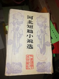 河北短篇小说选