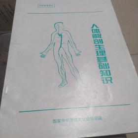 人体解剖生理基础知识