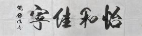 胡振民，著名书法家、原中国文联党组书记 
（1946年4月- ）河北人，全国政协常委，教科文卫体委员会副主任，中国文联原党组书记。
历任中央宣传部副秘书长、理论局局长，中央精神文明建设指导委员会办公室专职副主任，中央宣传部副部长、中共中央精神文明建设指导委员会办公室主任，2006年03月任中国文联党组书记、书记处书记、副主席。