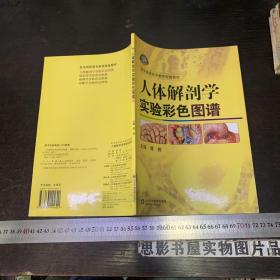 人体解剖学实验彩色图谱