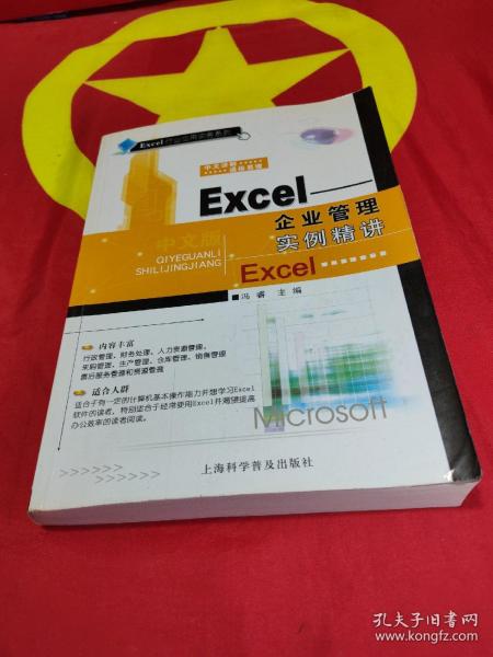 Excel：企业管理实例精讲