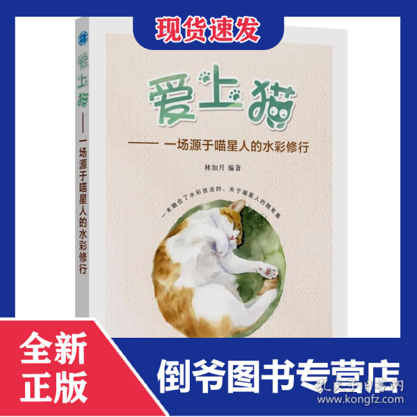 爱上猫——一场源于喵星人的水彩修行