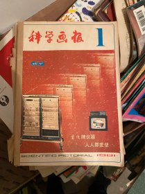 科学画报1981全年 1-12期