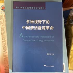 多维视野下的中国清洁能源革命