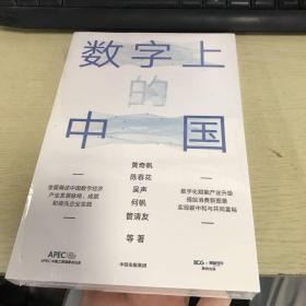 数字上的中国：黄奇帆、陈春花、吴声、何帆、管清友新作（塑封全新）