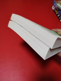 堂吉诃德 上下(看图拍)