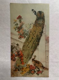 50年代老画片聿光《孔雀》戚单《冬學》（套色木刻）