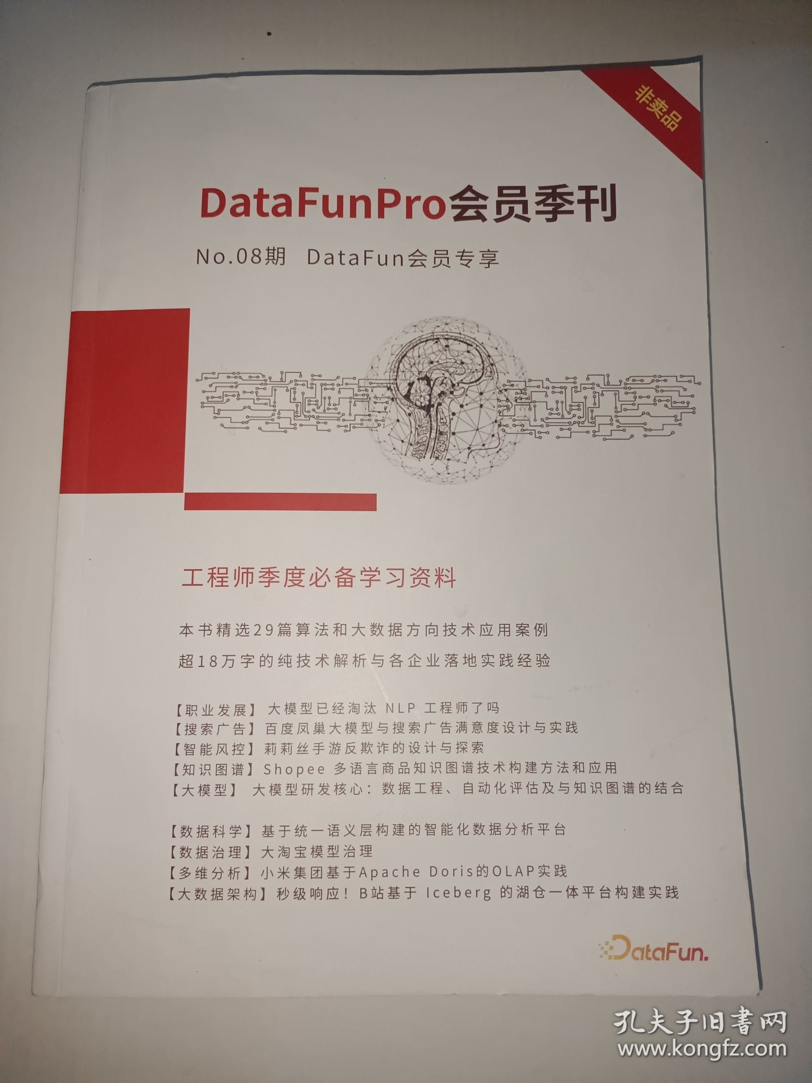 DataFunPro会员季刊 08期