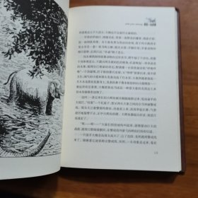 动物小说大王沈石溪经典作品 荣誉珍藏版：最后一头战象【精装纪念版】（放阁楼位）