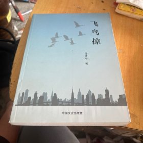 飞鸟掠