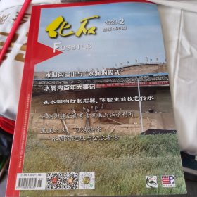 化石