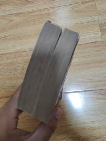 草书大字典（中下册）