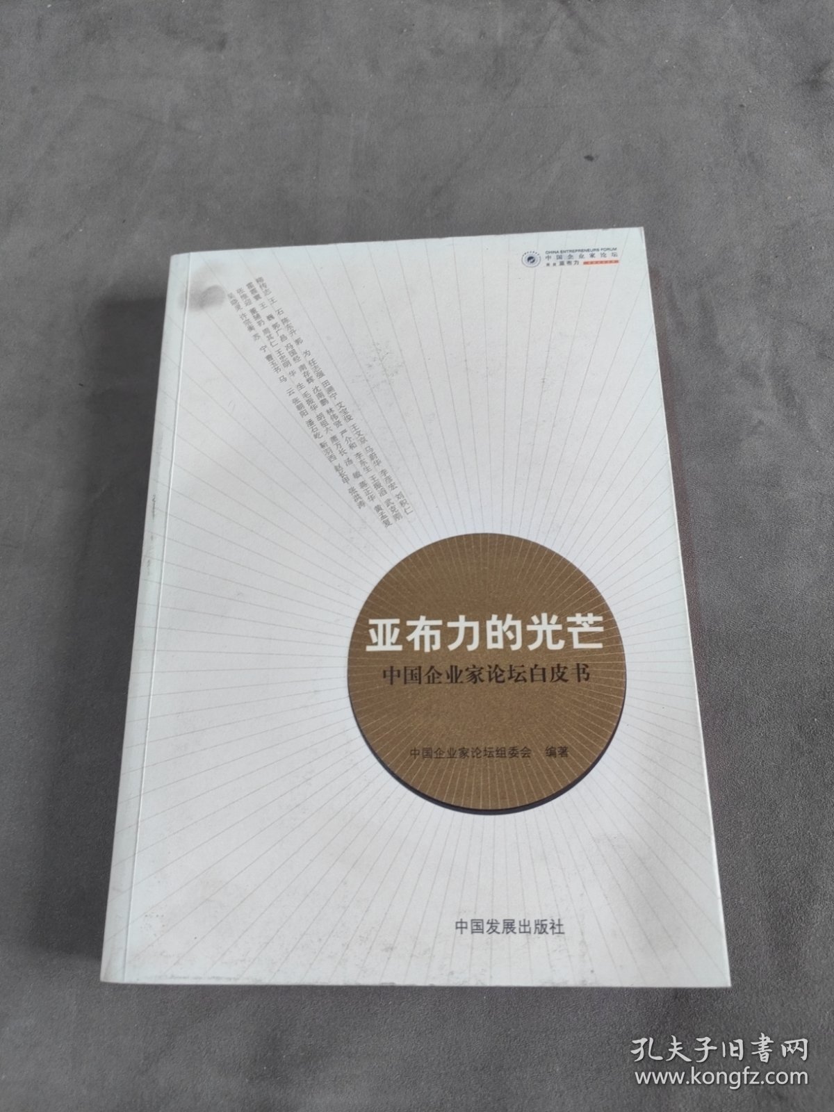 亚布力的光芒:中国企业家论坛白皮书