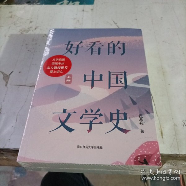 好看的中国文学史（套装上下册）