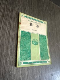 农业生产技术基本知识：栽茶