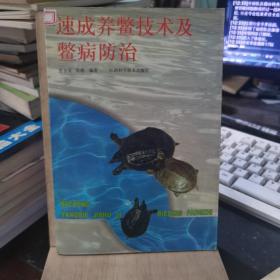 速成养鳖技术及鳖病防治